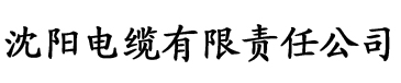 天黑黑电影网电缆厂logo